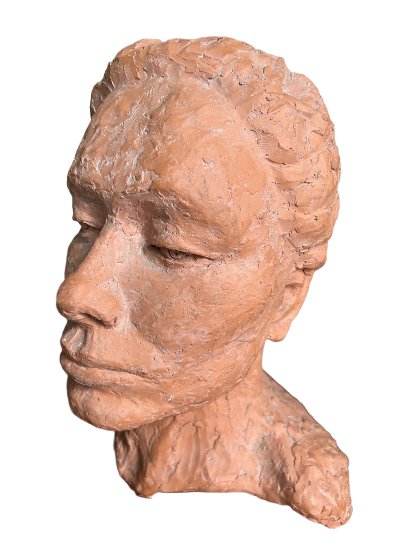 Sculpture Bust Of A Woman Unique One Of A Kind Terracotta Portrait Bust Of An Unknown Woman. Beautiful unique decorative figure