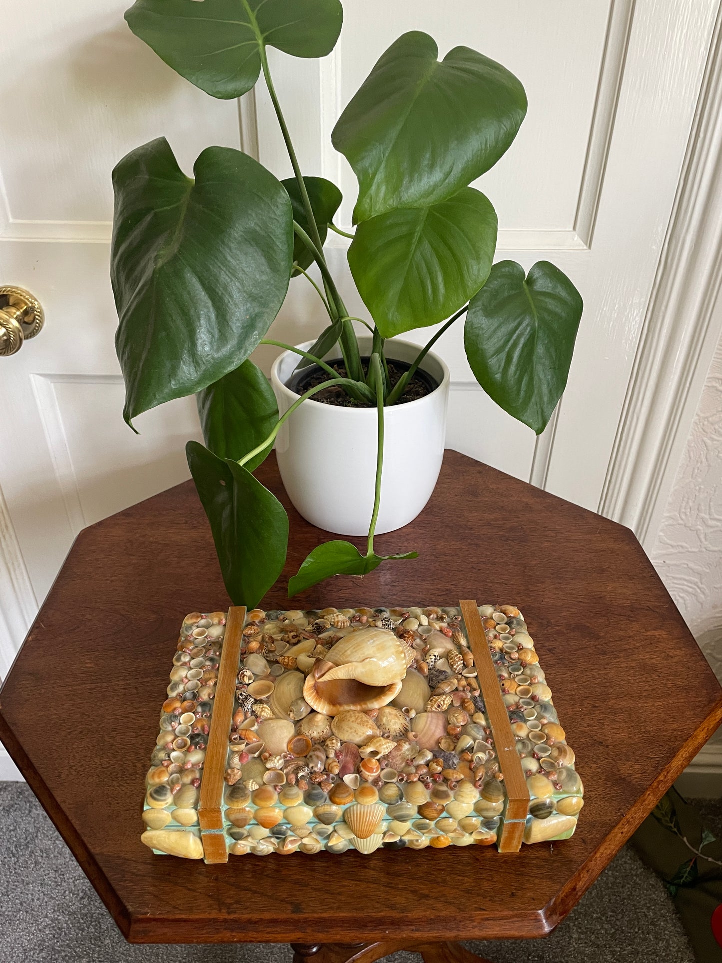 Folk Art Sea Shell Decorated Jewellery Or Trinket Box Hand crafted