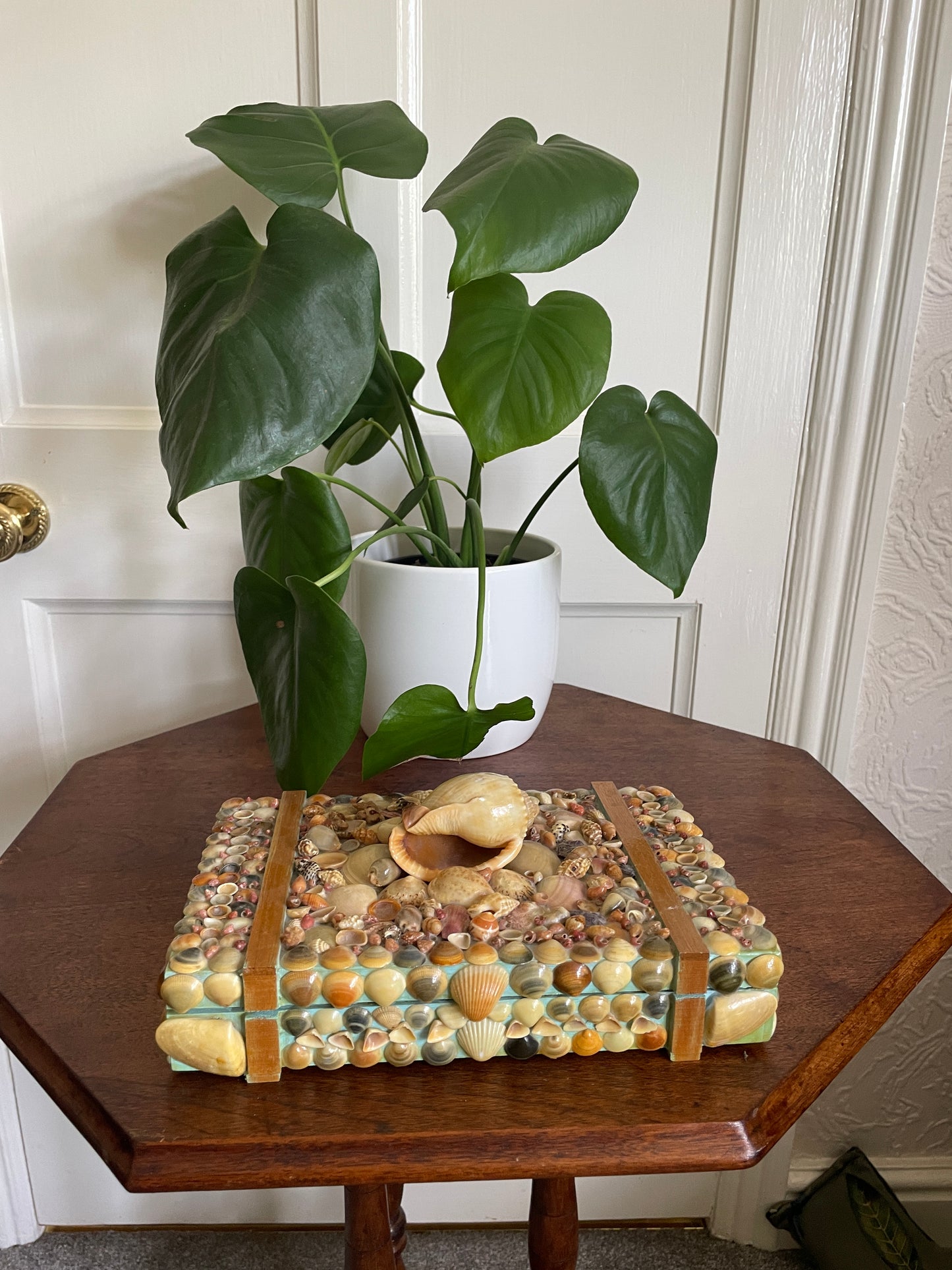 Folk Art Sea Shell Decorated Jewellery Or Trinket Box Hand crafted