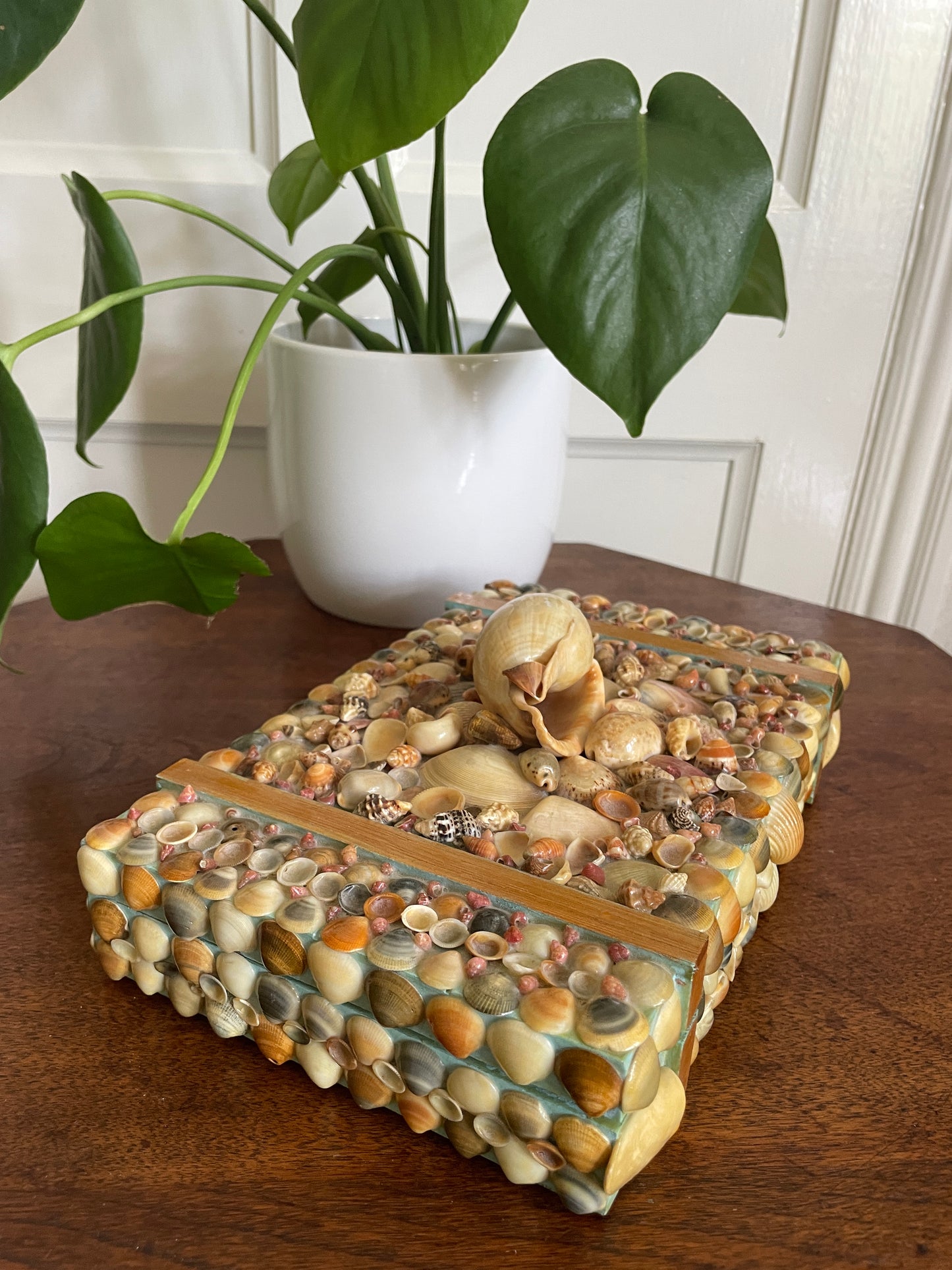 Folk Art Sea Shell Decorated Jewellery Or Trinket Box Hand crafted