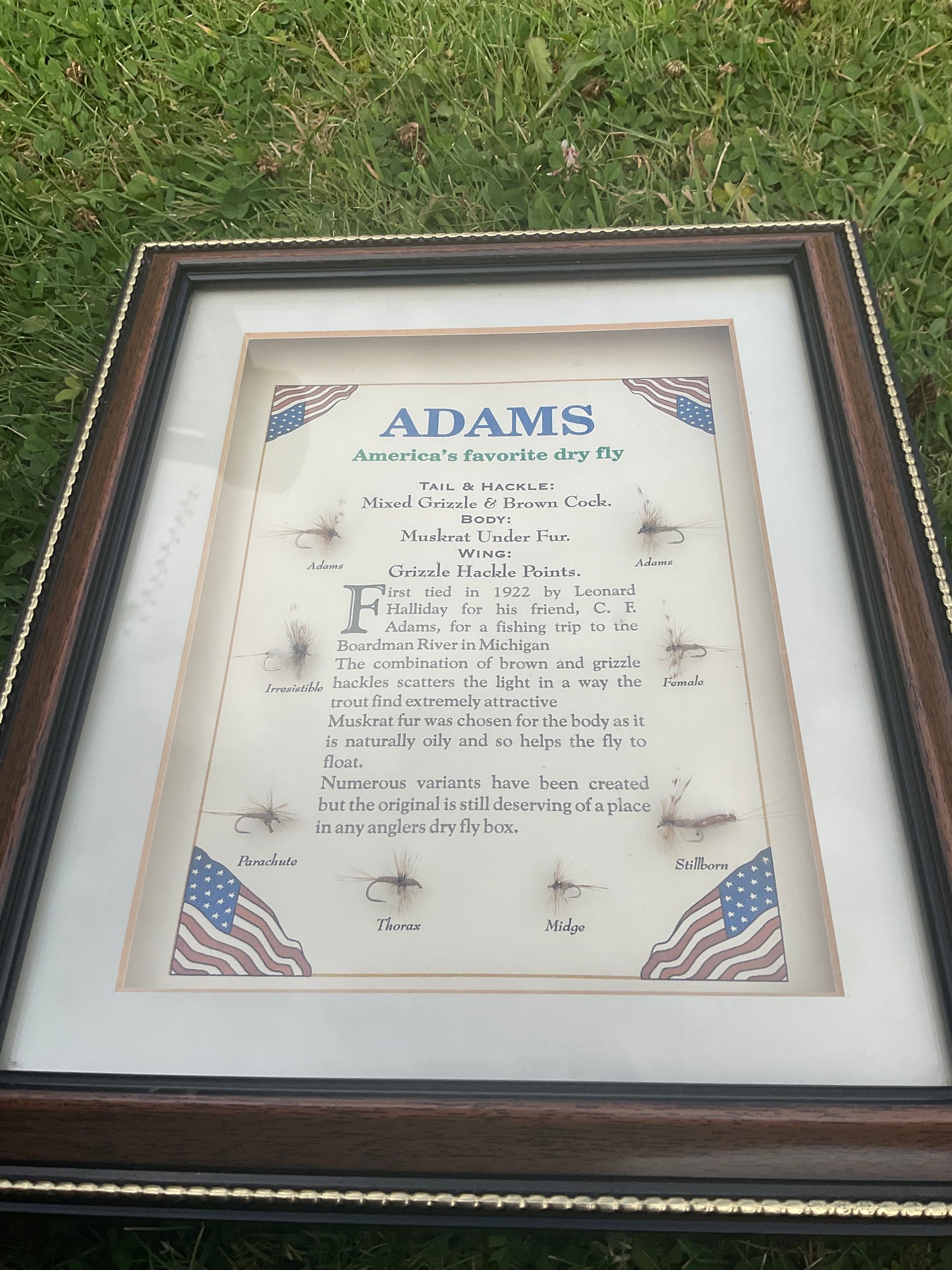 Fly Fishing Flies Adam’s Americas Favourite Dry Fly Framed Diplay Advertising Sample Board Framed and Glazed