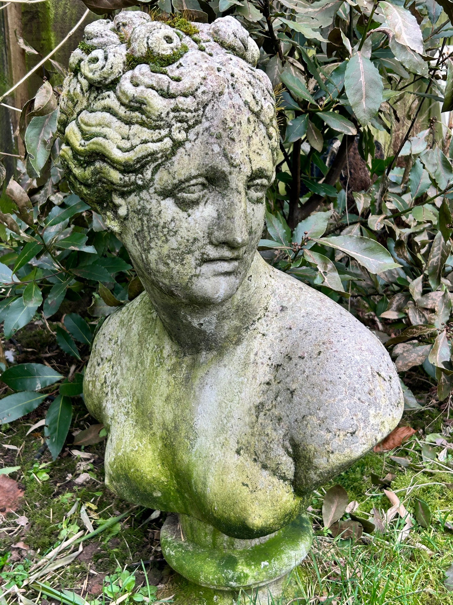 Garden Statue In Reconstituted Stone of a Classical Female Bust Well weathered.