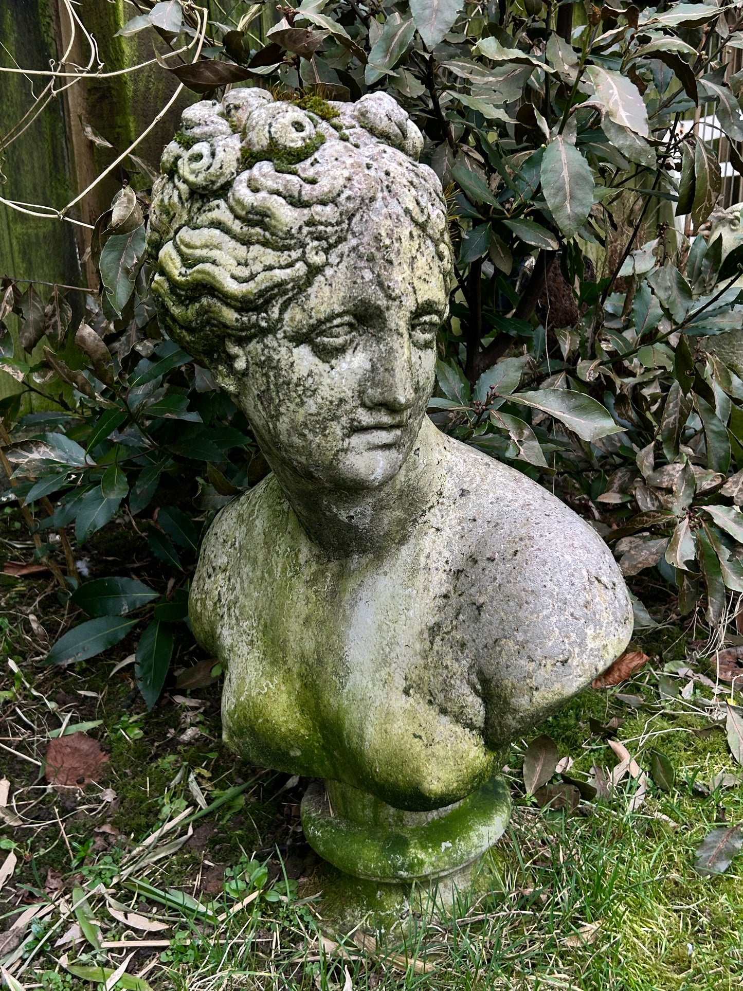 Garden Statue In Reconstituted Stone of a Classical Female Bust Well weathered.